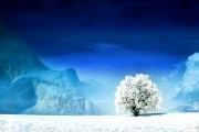 世界举重康复名师下沉乡镇示范课名单公示，著名举重教练