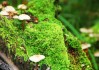 丁俊晖失利后坦言：赵心童的球感已经到了世界顶级，未来中国斯诺克看他。